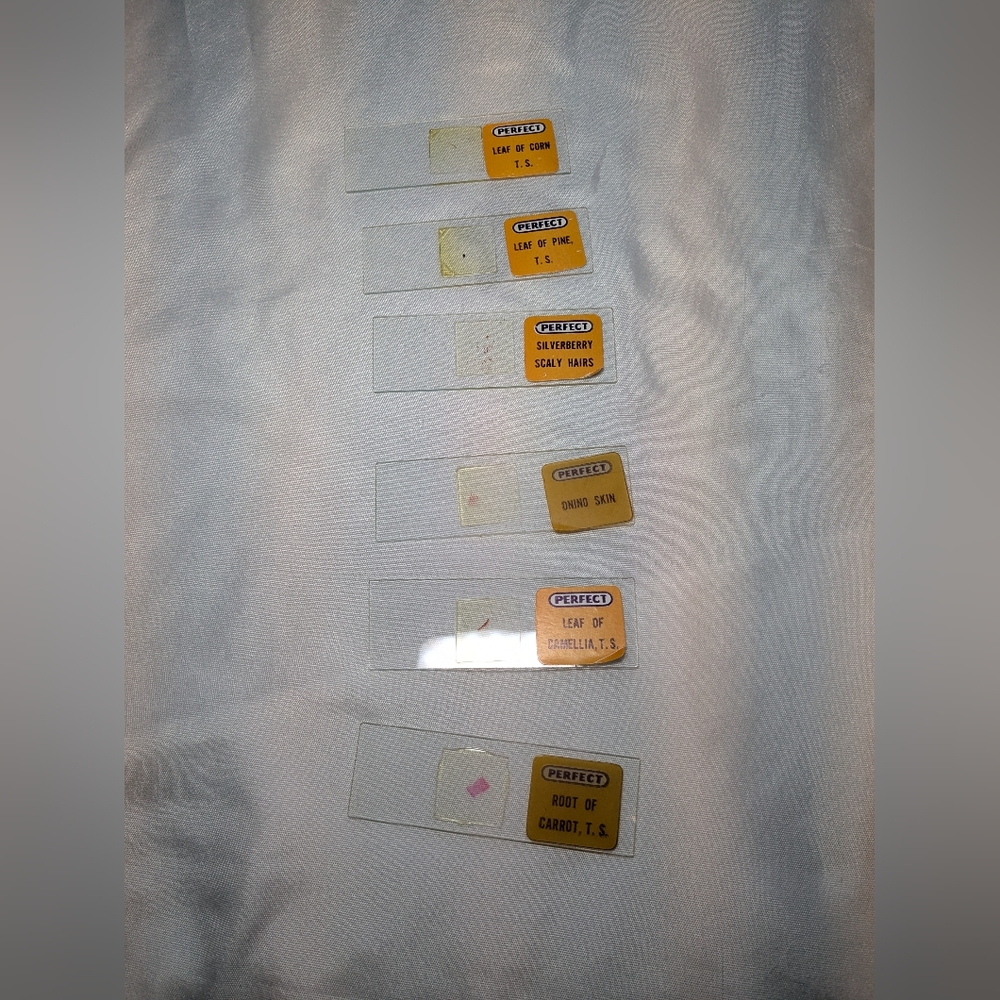 Vintage Microscope Slides (No Microscope) In A Metal Tin - Picture 6 of 9